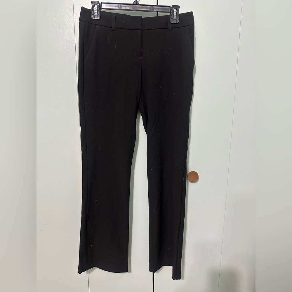 Express dress pants